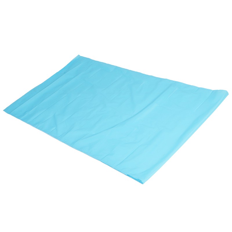 Sliding Draw Sheet Multifunctional Nylon Light Blue Patient Transfer Slide