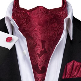Hi-Tie Silk Ascot for Men Self Tie Men's Cravat and Flower Lapel Pin Handkerchief Cufflinks Set for Wedding Party,Wine