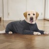 Dog Coats Autumn Winter Jumpsuit for Large Medium Dogs, Warmer