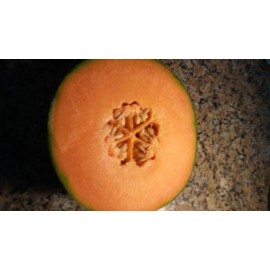 Fresh HALES JUMBO CANTALOUPE SUPPER SWEET SEEDS, 50+ SEEDS, NON - GMO, 2025 Season