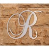 Jess and Jessica Cursive Metal Letter R 6"x7.33" – Wall