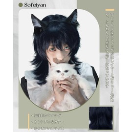 Sofeiyan Men's Wig, Layered Like a Christmas Tree, Design, Men's Clothing, Black, Wolf, Mallet Wolf, Long, Handsome Natural, Small Face, Harajuku, Imechen Cosplay, Full Wig, Blue, Cosplay Wig, Unisex,