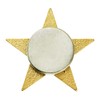 PinMart's Gold Star Pin Magnetic Back