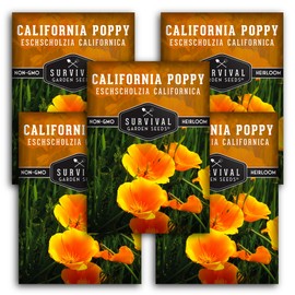 Survival Garden Seeds 5 Packets California Poppy for Planting - Seed Packs with Instructions to Grow Eschscholzia Californica Plants in Your Home Flower Garden - Non-GMO Heirloom Wildflower Variety