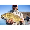 YUM FF Sonar Minnow - Natural Shad - 4"
