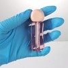 COSIDEA 20pcs Cute irregularly shaped 3ml 0.1oz Rose Empty lip