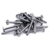 No.8 x 0.625 (4.2mm x 16mm) Slot Pan Self-Tapping Screw