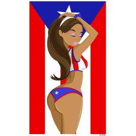 CAROD PUERTO RICO FLAG CAR STICKER DECAL,BANDERA,