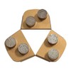 Diamond Grinding Discs for Lavina and Edco Magnatrap Grinders, Set