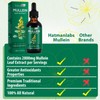 Mullein Leaf Extract for Lungs, Mullein Drops for Lungs, Support