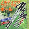 Nordic Walk Pole Lightweight Telescopic 2 Stick Silver