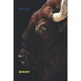Bison Real Life: Bison Journal, Buffalo Notebook, Diary, Note-Taking, Planner Book, Gift For Animals Lover, Blank Lined Journal Paperback, for school, ... animals, US national parks, wildlife lovers