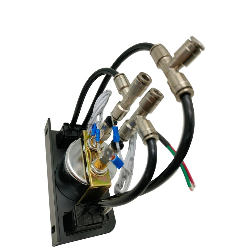 Dual Needle Air Gauge with Paddle Switch for Air Pressure