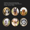 Automatic Dog Paw Cleaner Multifunction Powerful Silicone Bristles Rechargeable Portable