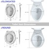 R&T Round Toilet Seat with Night Light Sound-activated Sensing Light