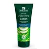 THREE PACKS of Aloe Pura Aloe Vera Lotion with Shea