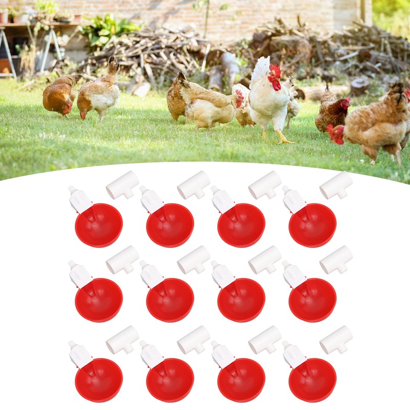 12 Sets Chicken Watering Cup with Tee Connector Automatic Feeding