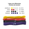 GO PLUS Ligas Loop Kit Bandas de Resistencia Largas Pull
