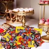 Assorted Chocolate Candy Mix - Individually Wrapped Milk, Dark, and