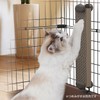 Petio Necoco Cat Scratching Board Holder