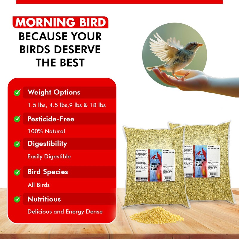 Morning Bird Hulled Millet – Nutritious Seed, Easily Digestible with