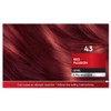 Schwarzkopf Brilliance 43 Red Passion