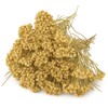 Organic Bio Herbs-Premium Organic Dried Yarrow Flowers - Non-GMO, Sustainably
