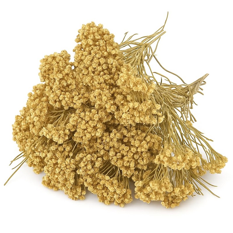 Organic Bio Herbs-Premium Organic Dried Yarrow Flowers - Non-GMO, Sustainably
