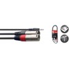 Y Cable 3.5 mm Mini Jack/XLR (M/M 1 m