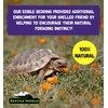 Reptile World Reptile World Tortoise Edible Bedding 300g | Readi