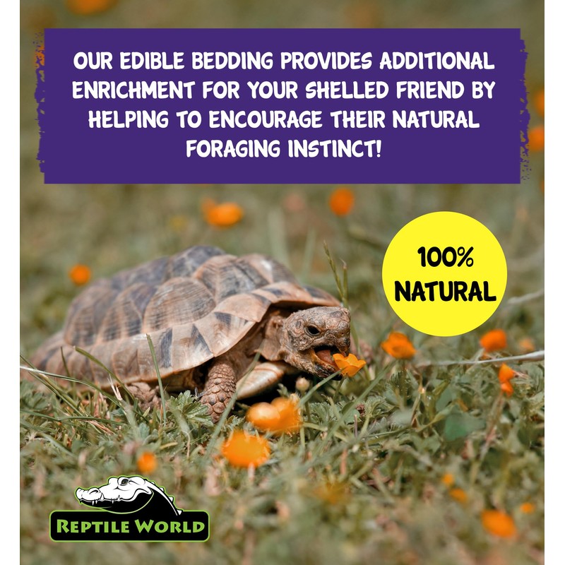 Reptile World Reptile World Tortoise Edible Bedding 300g | Readi