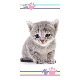 APTEX Bath Towel Beach Towel with Cat 70 x 140 cm, Multicolor