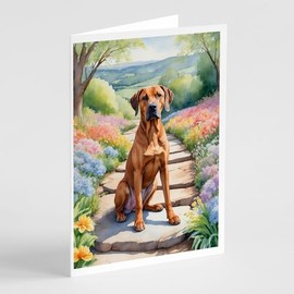 Caroline's Treasures Rhodesian Ridgeback Spring Path Greeting Cards Pack of 8 Blank Cards with Envelopes Whimsical A7 Size 5x7 Blank Note Cards