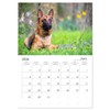 Malinois Magic: The Belgian Powerhouse (Monthly Wall Calendar 2026 11.7"