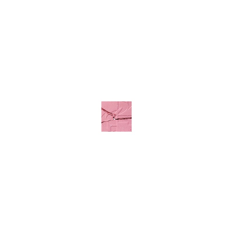 TWOSLASHFOUR TWO SLASH FOUR All Over Face Blush 5.5g -