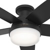 Hunter Fan 48 Inch Black Ceiling Fan with LED Light