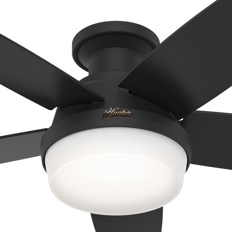 Hunter Fan 48 Inch Black Ceiling Fan with LED Light