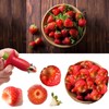 Fruit Corer 3 Pieces, Strawberry Starter, Strawberry Huller Tool, Used