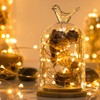 Fairy Lights Plug in, 100Ft 300LED Waterproof Firefly Lights on