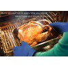 KITCHEN PERFECTION Silicone Smoker Oven Gloves -Extreme Heat Resistant BBQ
