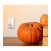 Glade Aromatizante Glade Pumpkin Spice Limited Edition 5 Refills