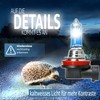 Recambo H11 Halogenlampen 12V 55W - 5500K Xenon-Look - Superweißes