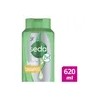 Shampoo Sedal 2 en 1 Rizos Definidos 650ml