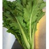 TomorrowSeeds - Michihili Chinese Cabbage Seeds - 1000+ Count -