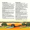 Holista Oregano Oil with Vitamin E Extra Strength, 60 Softgels,
