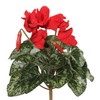 Vickerman FL170702 Floral Cyclamen Bush