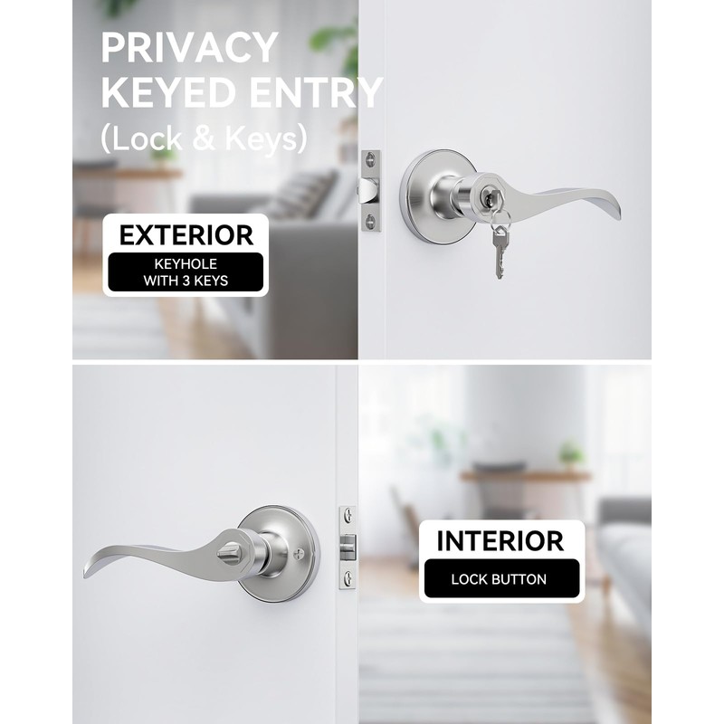 AmzGod 6 Pack Entry Door Handle with Lock and Key,