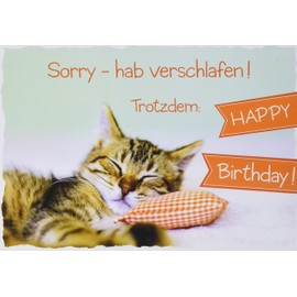 Perleberg Basic Classic Sorry Cat 11.6 x 16.6 cm, 7560003-2