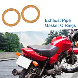 A ABSOPRO Set of 2 Motorcycle Exhaust Silencer Pipe Seal for Jiangling JH70