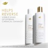 Dove- Champú Bond Strength para cabello dañado químicamente con tecnología